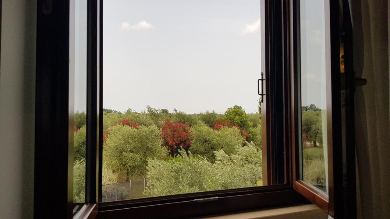 Il Casale Degli Ulivi - Agriturismo - Tenimenti Leone 라누비오 외부 사진