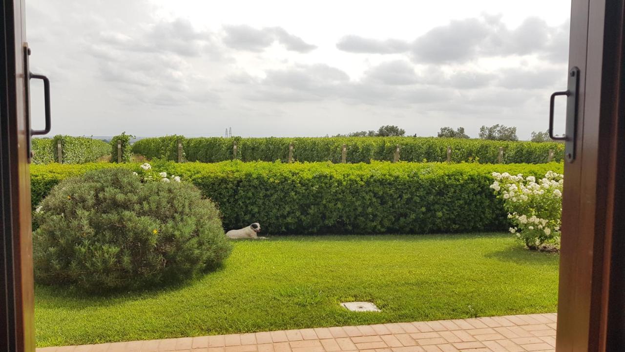 Il Casale Degli Ulivi - Agriturismo - Tenimenti Leone 라누비오 외부 사진