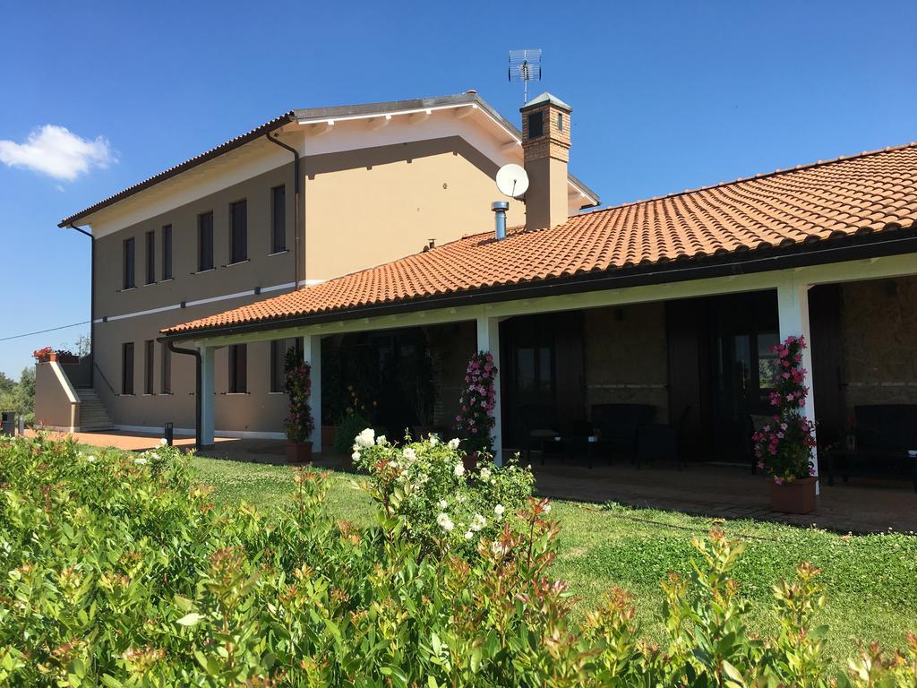 Il Casale Degli Ulivi - Agriturismo - Tenimenti Leone 라누비오 외부 사진