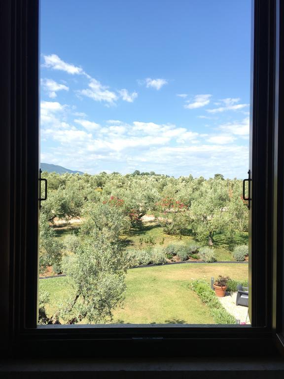 Il Casale Degli Ulivi - Agriturismo - Tenimenti Leone 라누비오 외부 사진