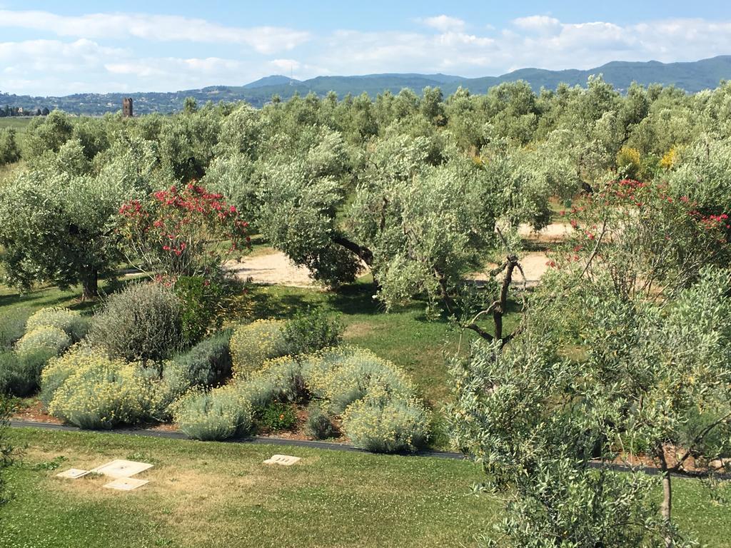 Il Casale Degli Ulivi - Agriturismo - Tenimenti Leone 라누비오 외부 사진