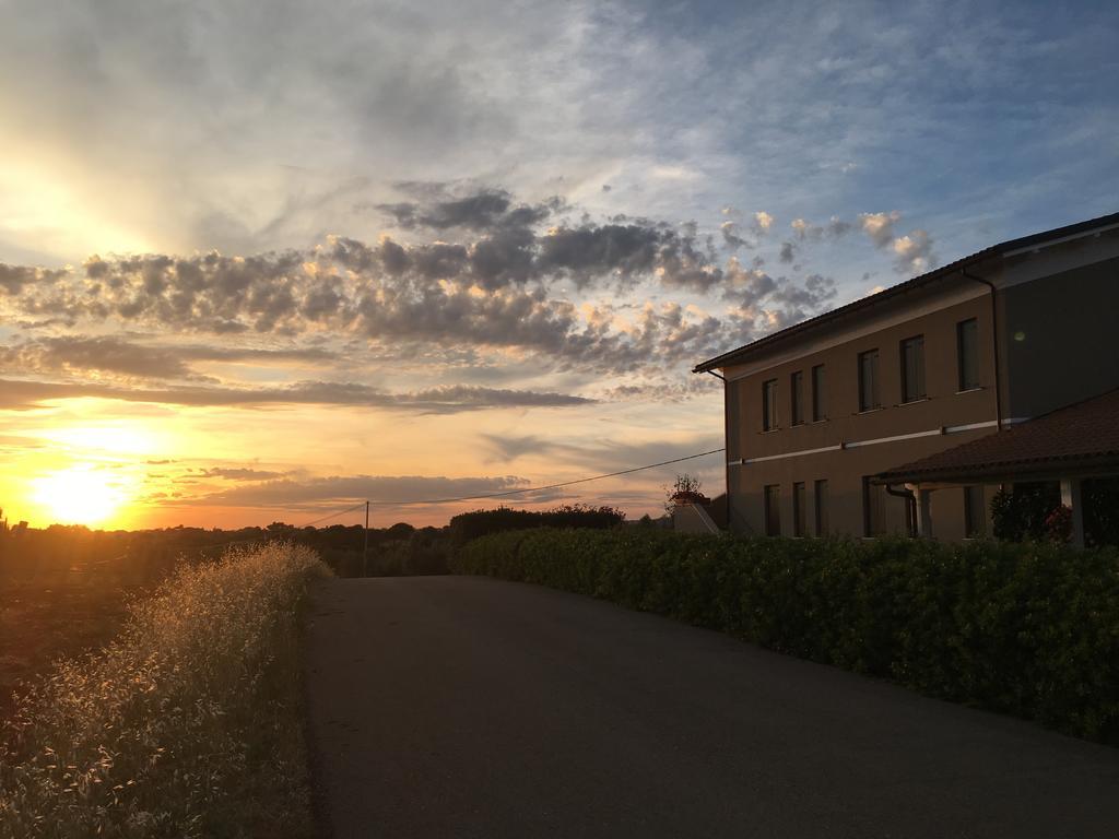 Il Casale Degli Ulivi - Agriturismo - Tenimenti Leone 라누비오 외부 사진