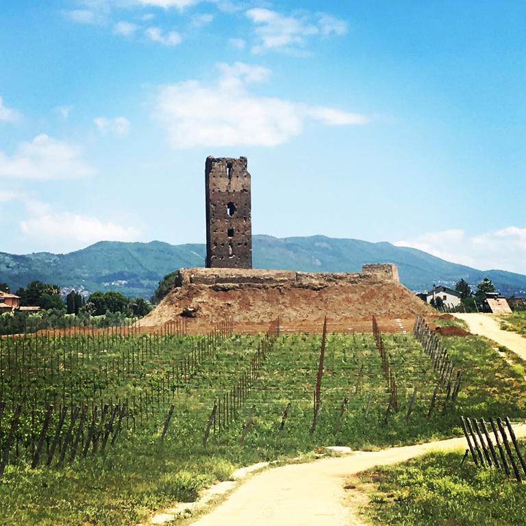 Il Casale Degli Ulivi - Agriturismo - Tenimenti Leone 라누비오 외부 사진