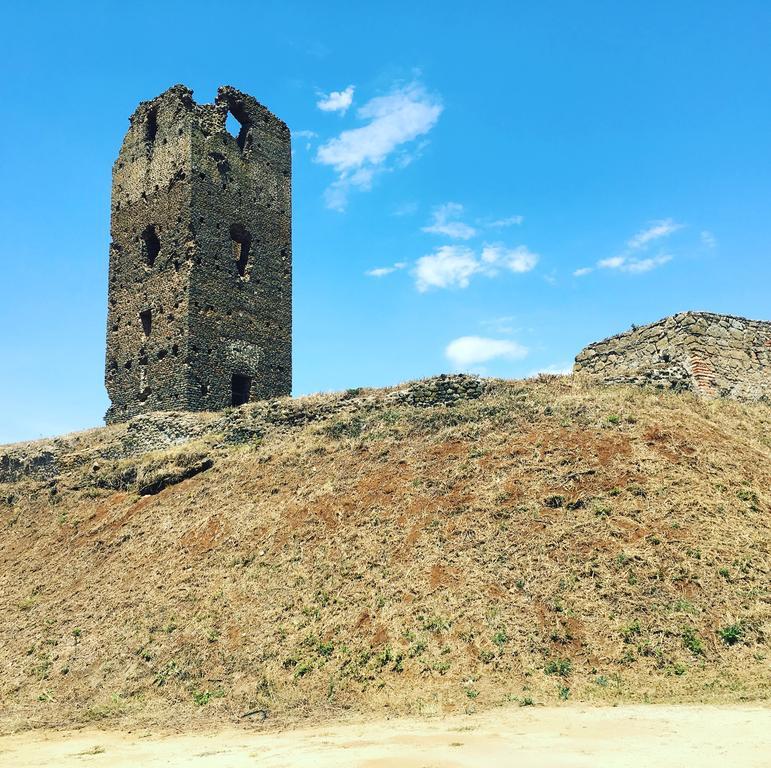 Il Casale Degli Ulivi - Agriturismo - Tenimenti Leone 라누비오 외부 사진