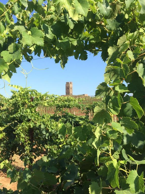 Il Casale Degli Ulivi - Agriturismo - Tenimenti Leone 라누비오 외부 사진