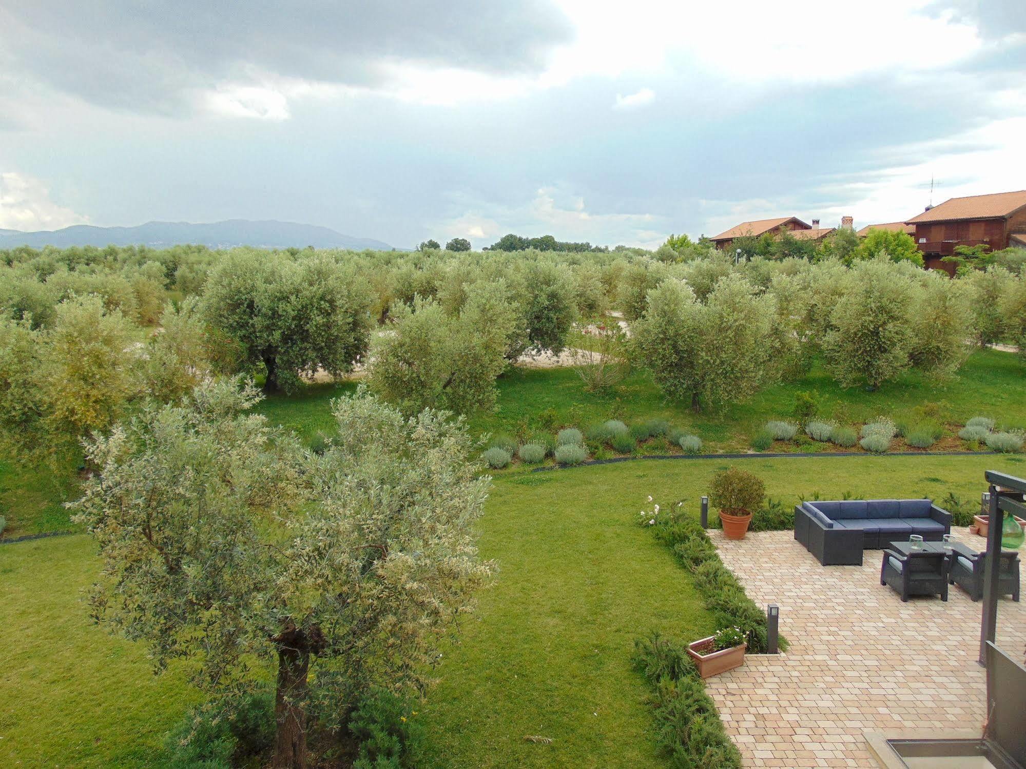 Il Casale Degli Ulivi - Agriturismo - Tenimenti Leone 라누비오 외부 사진