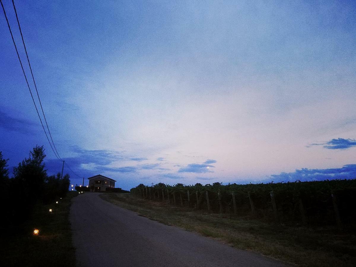 Il Casale Degli Ulivi - Agriturismo - Tenimenti Leone 라누비오 외부 사진